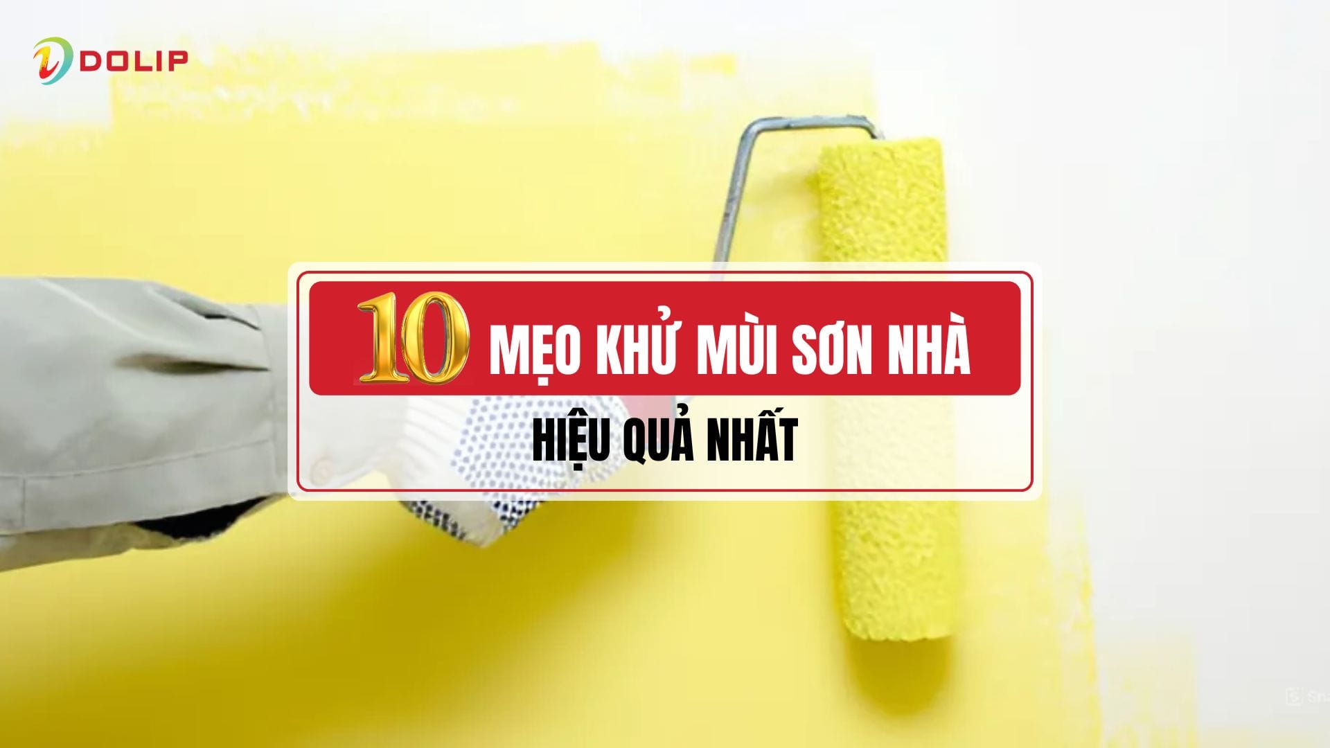 10 mẹo khử mùi sơn nhà hiệu quả nhất 1 10 mẹo khử mùi sơn nhà hiệu quả nhất