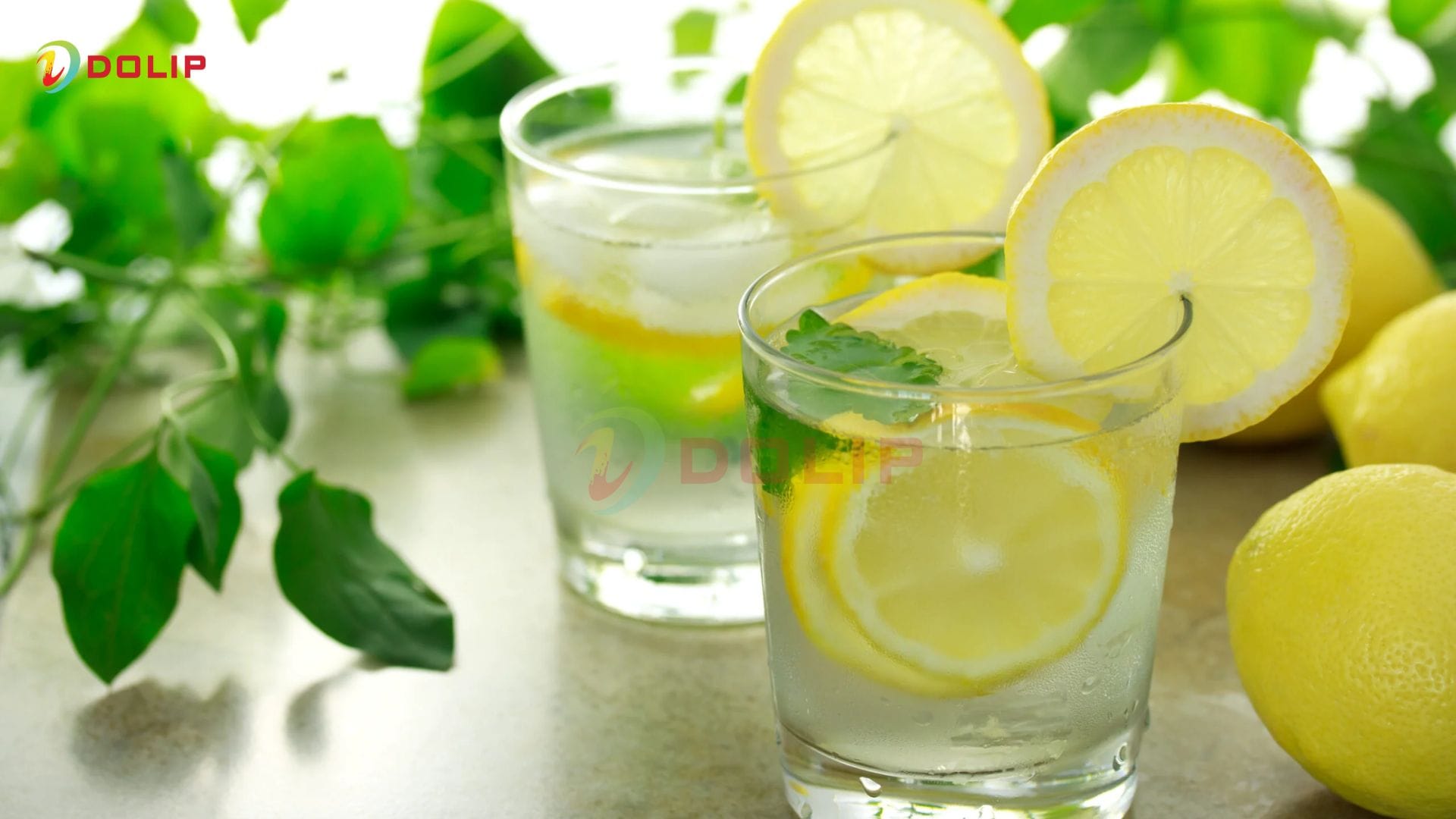 10 mẹo khử mùi sơn nhà hiệu quả nhất 2 Nước chanh là chất kháng khuẩn, tẩy mùi tự nhiên