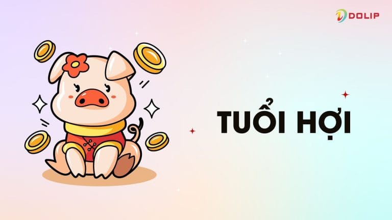 Màu sắc phong thủy cho tuổi Hợi 2025