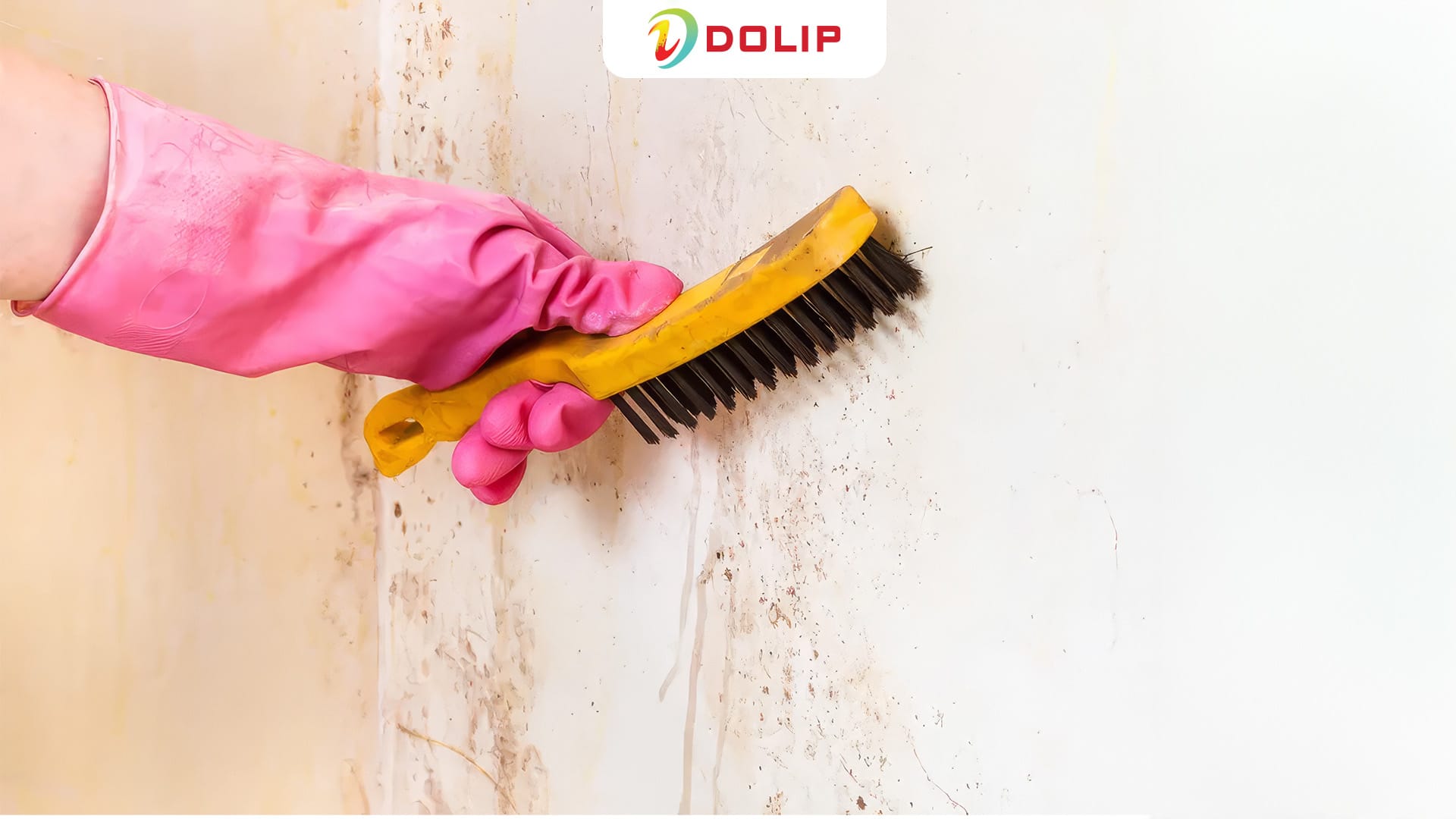 Loại bỏ vết tay, xe, bụi, bùn cho tường nhà