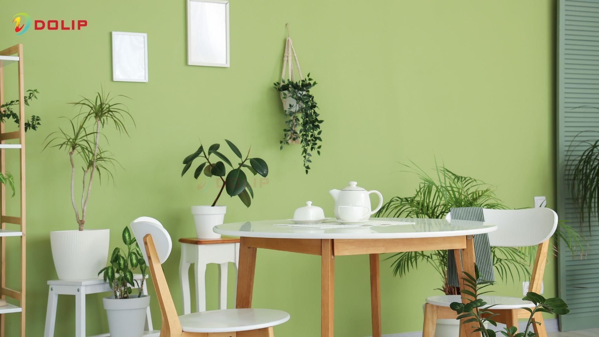 Mệnh Mộc tươi mới với sắc xanh lục mã AP66-3(T)